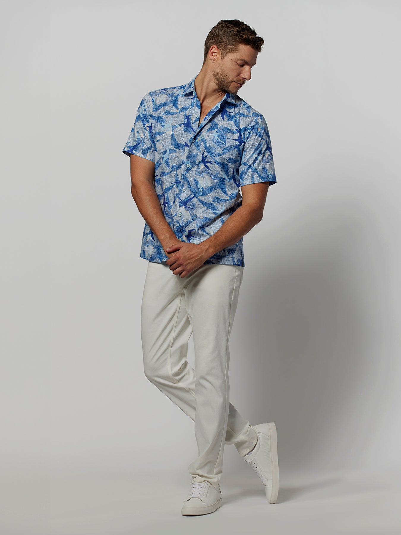 Cruising Terns – Tori Richard