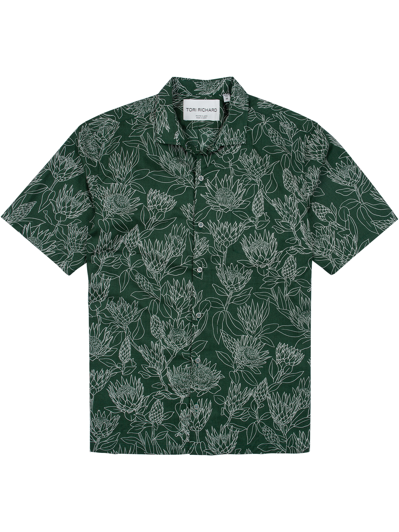 Protea (Tall)