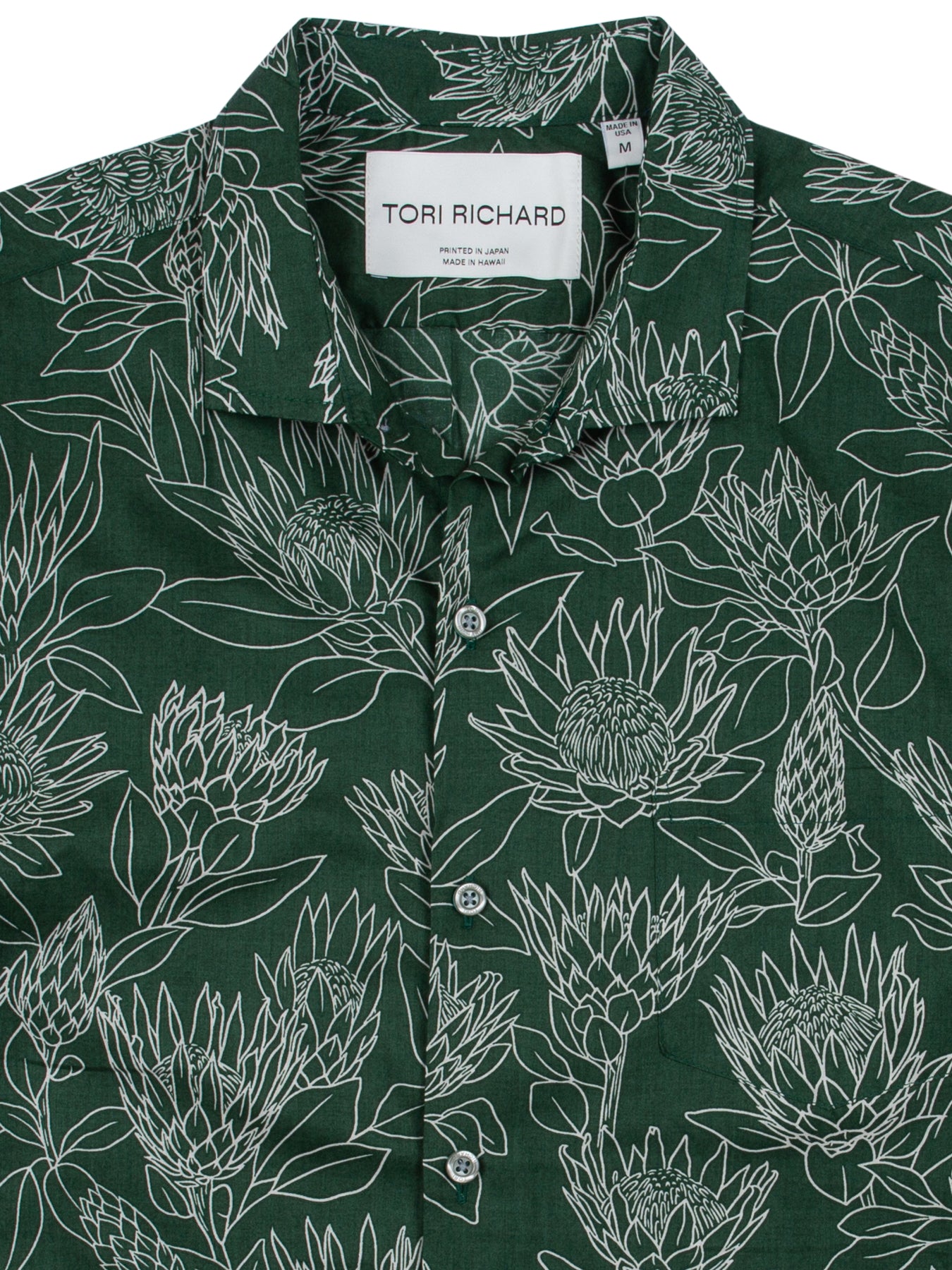 Protea (Tall)