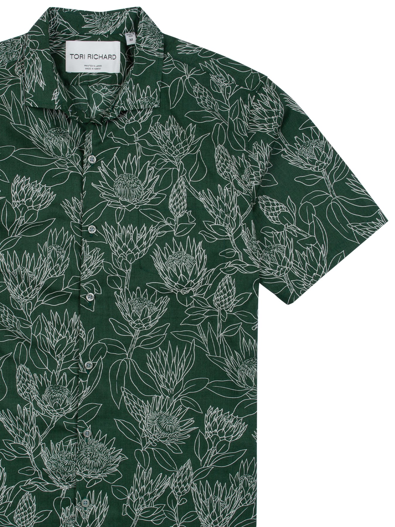 Protea (Tall)