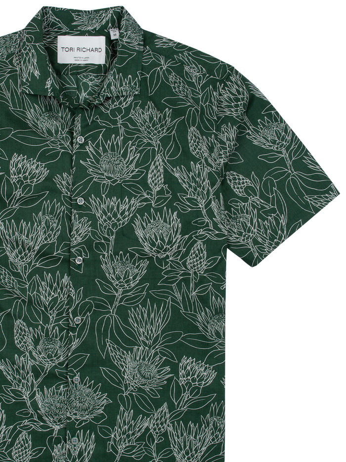Protea (Tall)