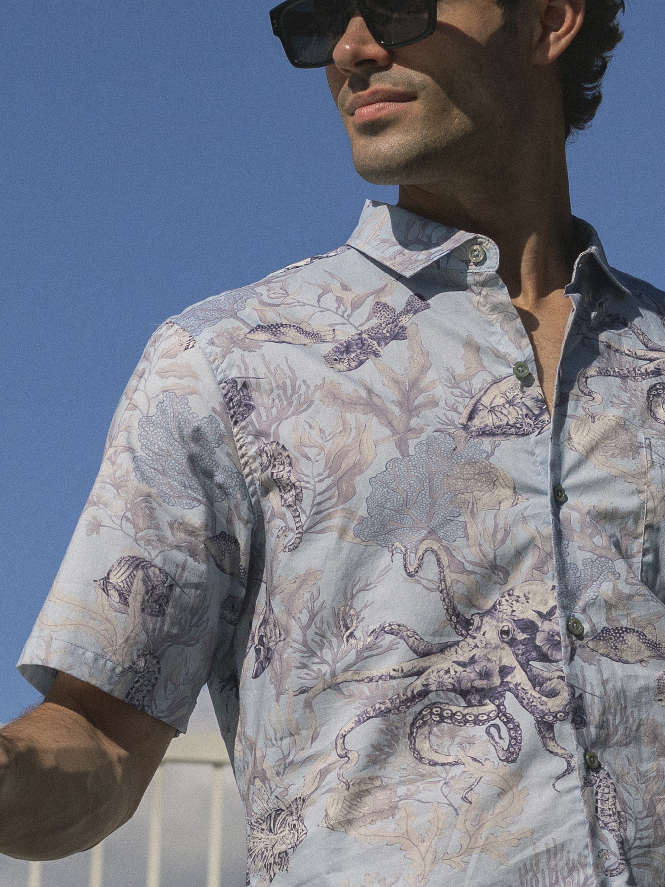 Chambray