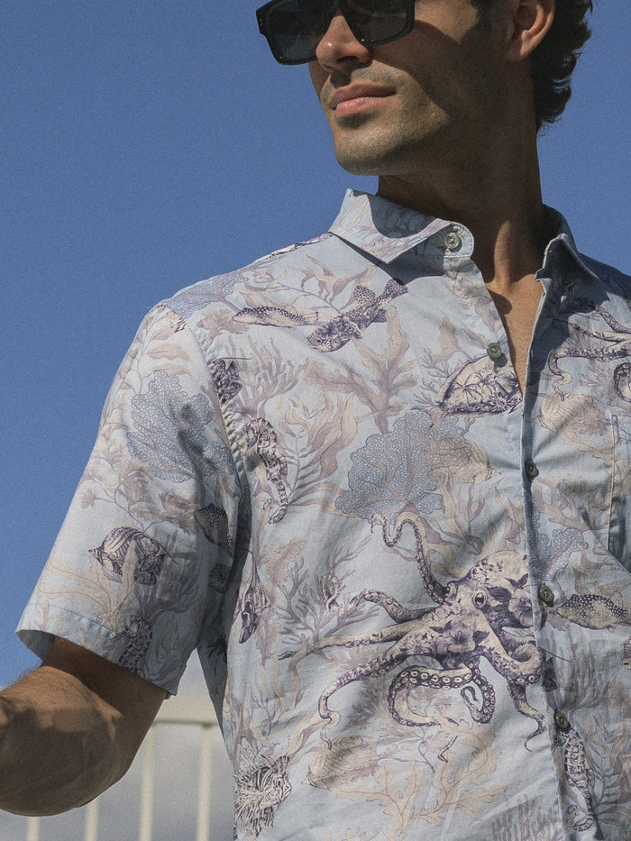 Chambray