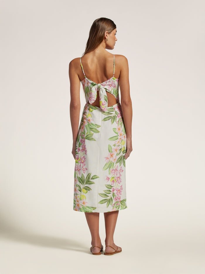 Magnolia