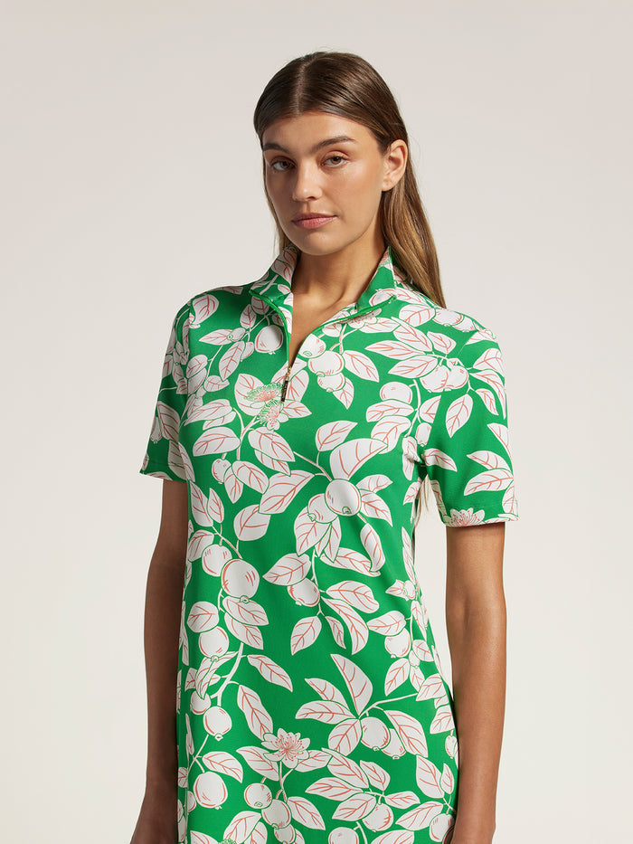 Palm