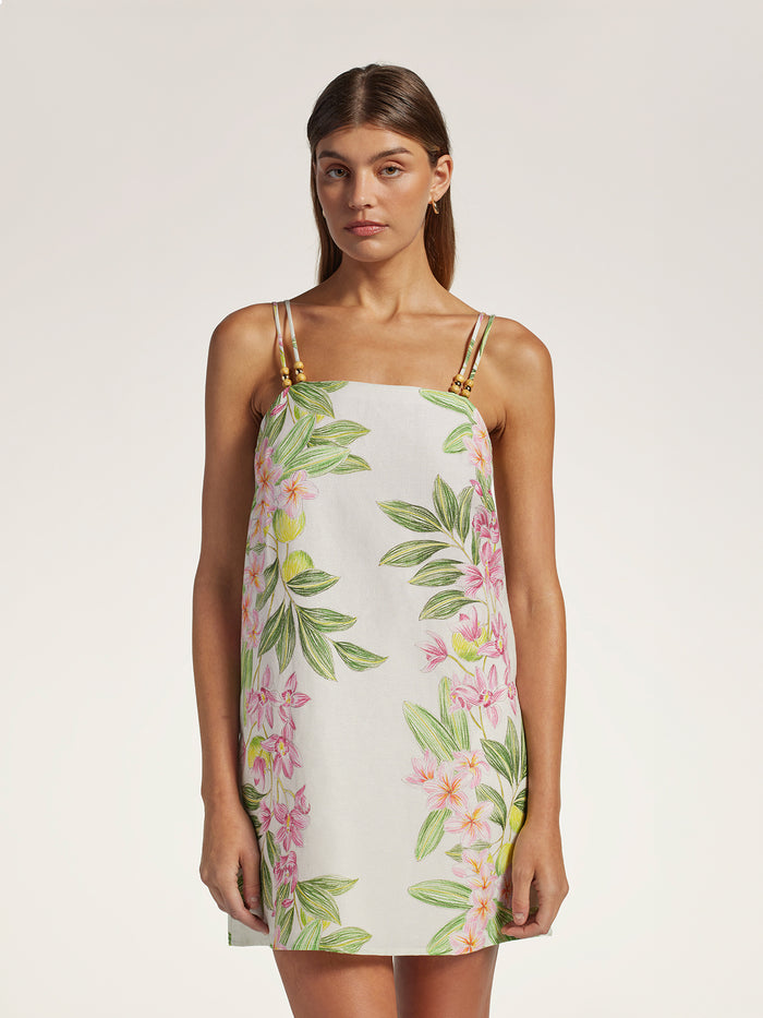 Magnolia