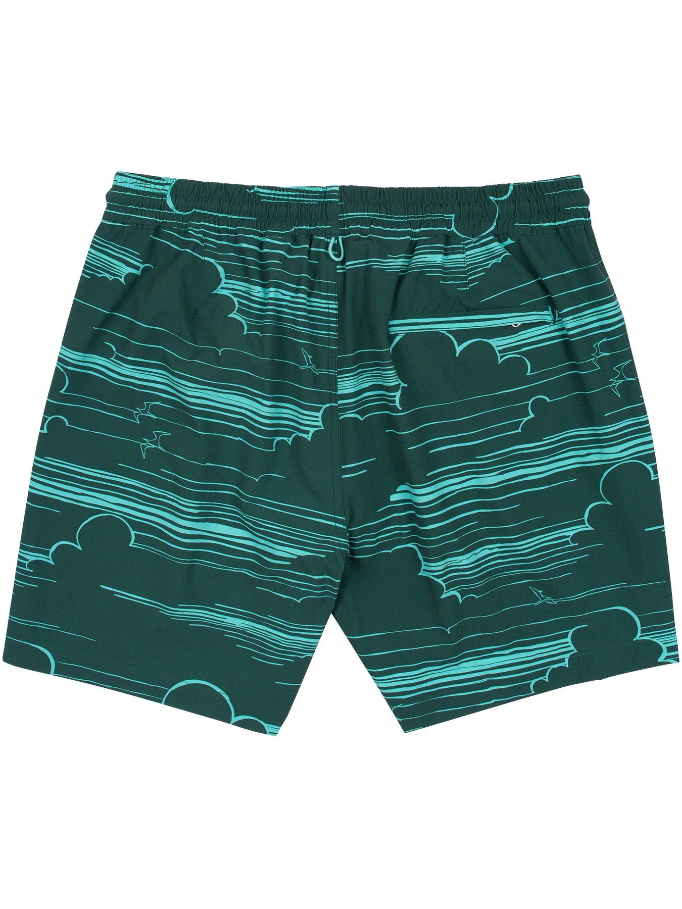 In The Clouds Swim - Tradewind Technology™
