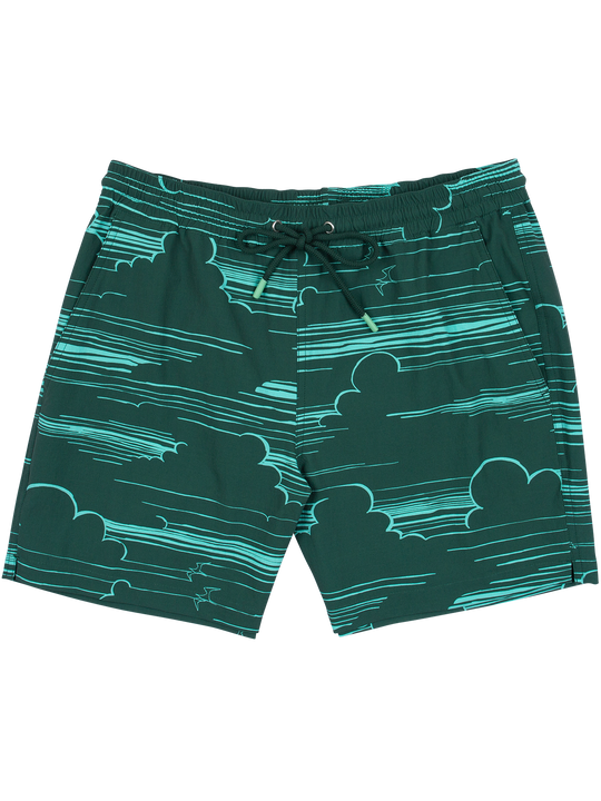 In The Clouds Swim - Tradewind Technology™