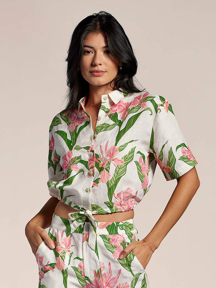 Magnolia