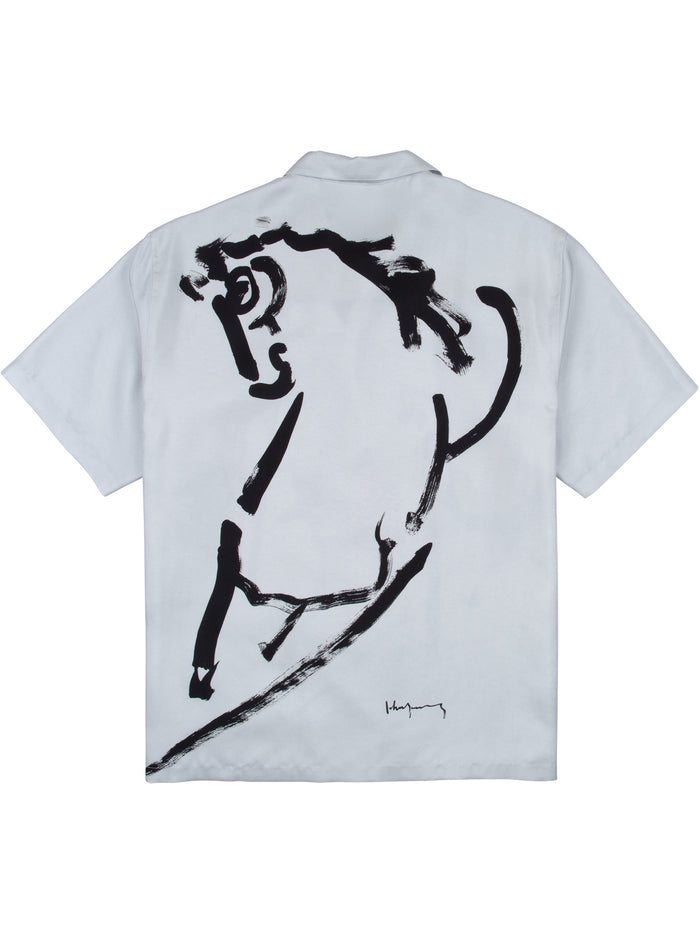 Year of the Horse