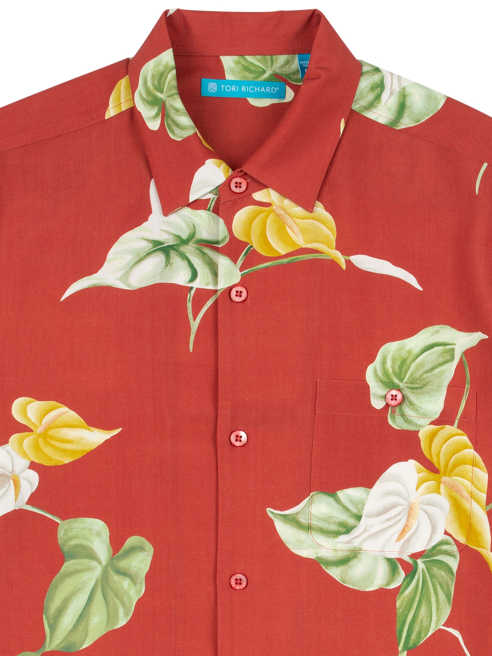 Anthurium Anthem